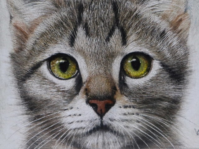 超リアルな猫のクレヨン画展が12 26から開催 愛猫の絵画制作もオーダーできるニャ Cat Press キャットプレス