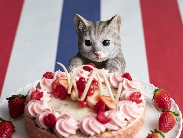 美味しそうなケーキを見つめる猫の羊毛フェルト人形 by ストロベリーCATS コレクション