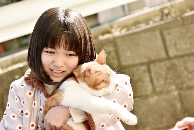 ネコを抱く平澤宏々路 by 映画「トラさん～僕が猫になったワケ～」
