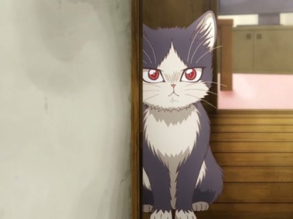 作家と猫の家族物語「同居人はひざ、時々、頭のうえ。」1/9からアニメ放送開始