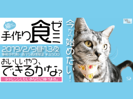 獣医師による愛猫のための手作りご飯セミナー、2月9日＆13日に東京で開催