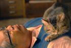 撮影に35匹の猫が参加！映画「ねことじいちゃん」から猫だらけの特別映像が公開