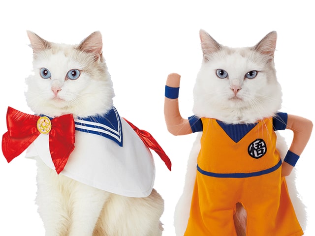 愛猫がセーラームーンや孫悟空に変身できるペット用品ブランド「キャラペティ」