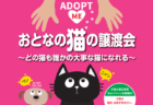 名古屋市動物愛護センター「おとなの猫」を対象にした譲渡会を毎日開催中