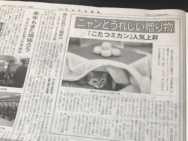 新聞に掲載された猫用コタツ付き和歌山みかん「猫と、こたつと、思い出みかん。」