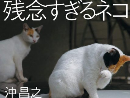 沖昌之「残念すぎるネコ」写真展が神戸で初開催！地下鉄とコラボしたスタンプラリーも