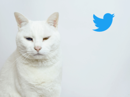 猫の日はTwitterで盛り上がるニャ！Twitterジャパンが独自企画×2を発表