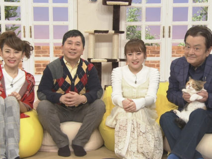 栗原類や田中要次らが出演「にゃんとオドロキ！ねこの歴史」NHK BSプレミアムで放送