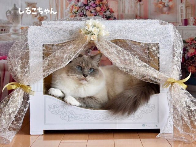 メル猫様尃用 愛猫がメルヘンチックなお姫様に♪ 猫用の天蓋ベッド「ニャン