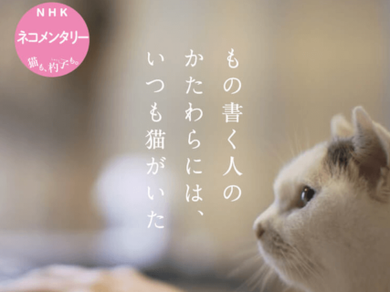 角田光代ら6名の猫好き作家の日常を収録！NHKの人気番組「ネコメンタリー」が書籍化