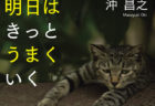 気分が落ち込んだ時に読みたい猫本、沖昌之さんの新刊「明日はきっとうまくいく」