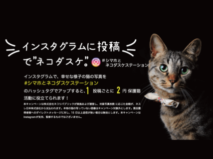 インスタに1回投稿するだけで2円を寄付、猫に優しいキャンペーンが4/30まで開催中