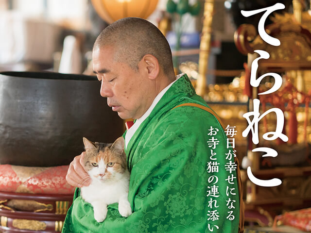朝ごはんを食べる住職さんがネコまみれ 新刊 てらねこ 毎日が幸せになる お寺と猫の連れ添い方 Cat Press キャットプレス