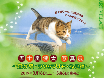 五十嵐健太写真展～飛び猫・フクとマリモ・ねこ禅～、兵庫県朝来市でGWまで開催中