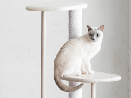 カリモクが猫用の木製家具ブランド「KARIMOKU CAT」を発表！第1弾はキャットツリー