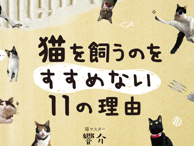 作曲家と7匹の猫たちの日常をつづった書籍 猫を飼うのをすすめない11の理由 Cat Press キャットプレス