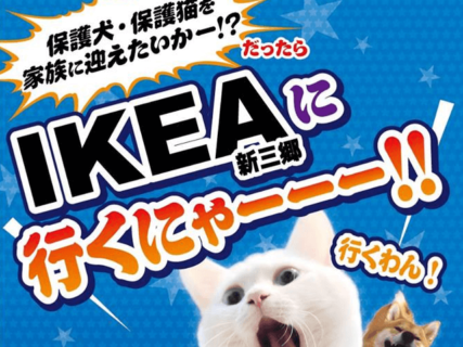 今年もイケアに犬猫がやってくる！埼玉・新三郷で保護猫＆保護犬の譲渡会が3/30に開催