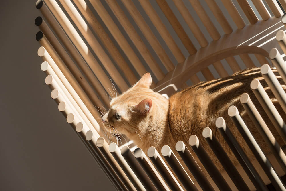 高級キャットツリーNEKO（Modern Cat Tree）の製品イメージ by RINN Inc.