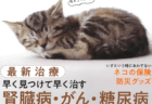 雑誌AERAの猫バージョン「NyAERA(ニャエラ)」、第4弾は「ネコの病気と老い」