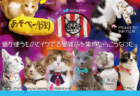 ユニークな猫用品＆猫雑貨が集まる「東京にゃんコレクション」4/21に開催