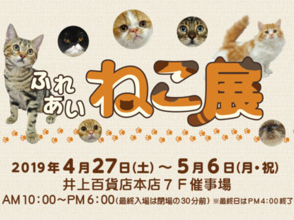 世界中の珍しい猫と触れ合える「ふれあいねこ展」が長野県の井上百貨店で4/27から開催