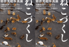 島猫や神奈川の猫など、200点以上の作品を楽しめる岩合光昭写真展「ねこづくし」6月末まで開催