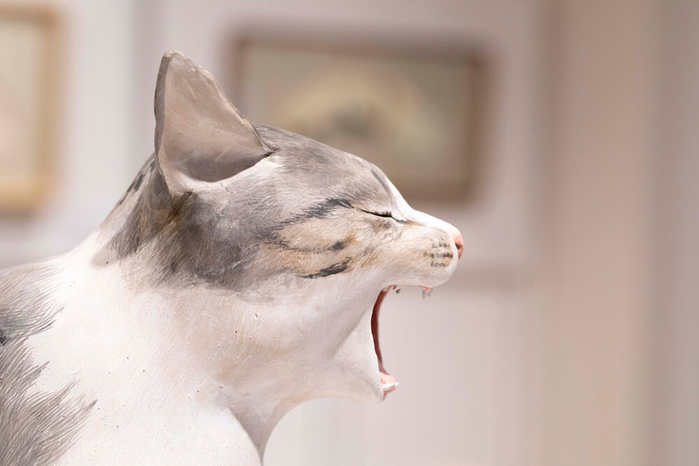 あくびをする猫を表現した彫刻作品 by 藝大の猫展