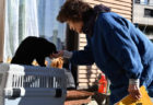 倍賞千恵子さんも黒猫にメロメロ♪ 映画「初恋〜お父さん、チビがいなくなりました」のメイキング映像を公開