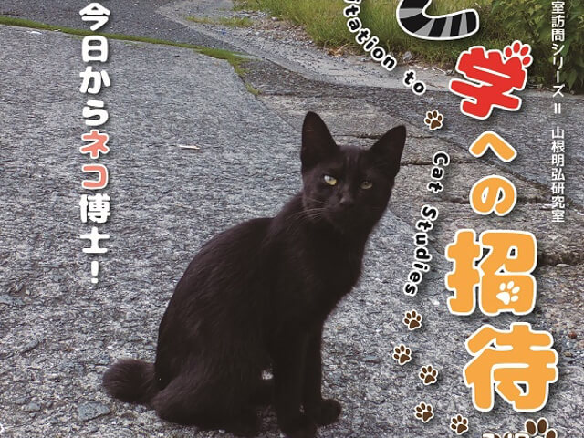 猫博士こと山根教授の研究結果を展示する ねこ学への招待 西南学院大学博物館で開催中 Cat Press キャットプレス