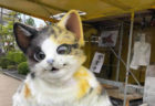 鳥取に出没する猫の焼き芋屋さんが話題に！オーダーメイドで猫スーツも制作するニャ
