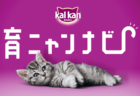 子猫の育て方を音声でサポート！カルカンがGoogleアシスタント対応アプリ「育ニャンナビ」を公開