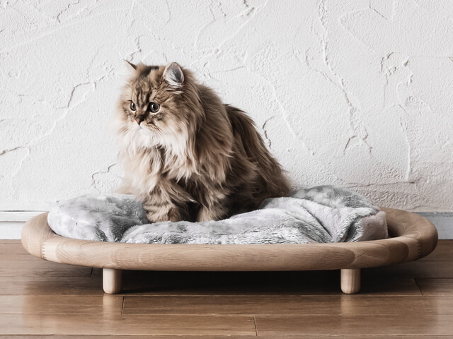 木の魅力を活かしたお洒落な猫ベッド、カリモク家具の猫用ブランド ...