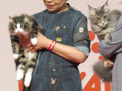 全部で208頭の猫が参加！日本最大級「ジャパンキャットショー」の開催風景を公開