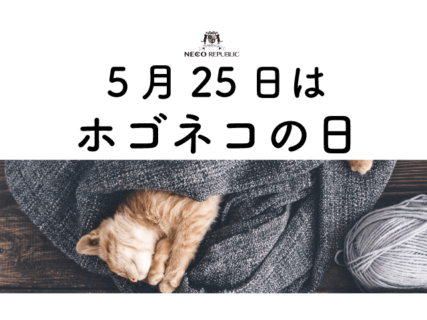 日本記念日協会が5月25日を「ホゴネコの日」として認定！保護猫のためのイベントも実施中