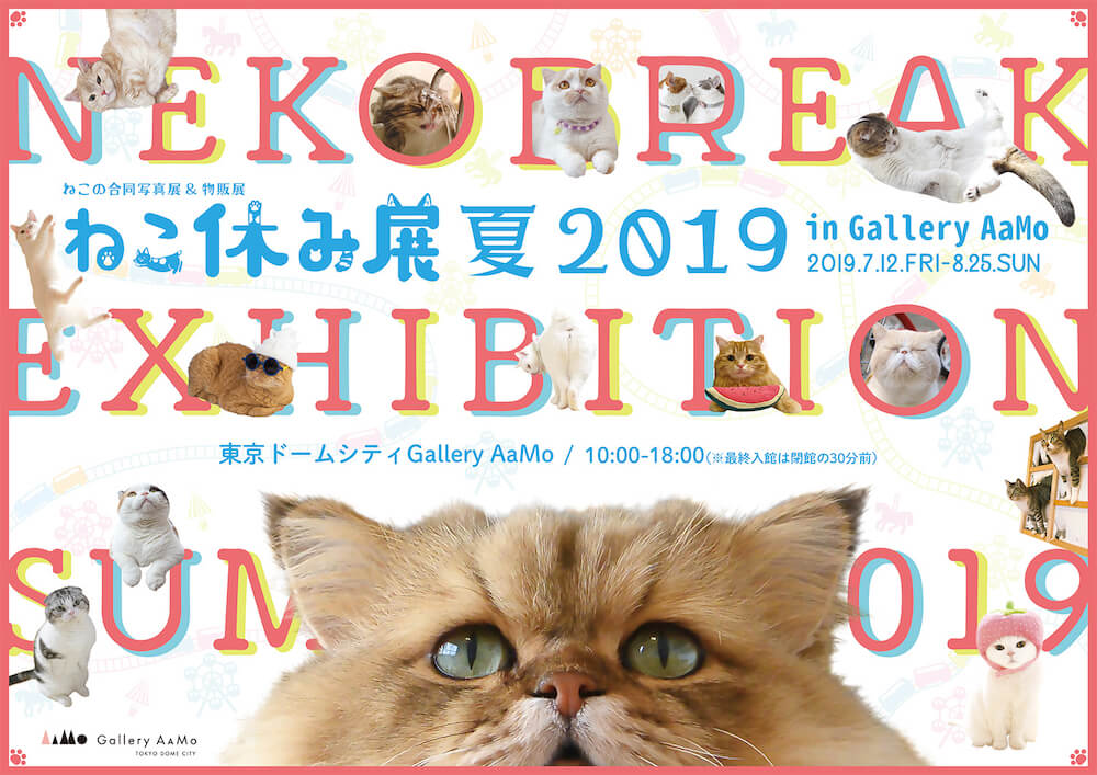 猫の合同写真展＆物販展「ねこ休み展 夏 2019 in Gallery AaMo」