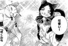 ノラ猫の生き様と人との絆を描いた感動のねこ漫画「ゴジュッセンチの一生」最終巻が発売