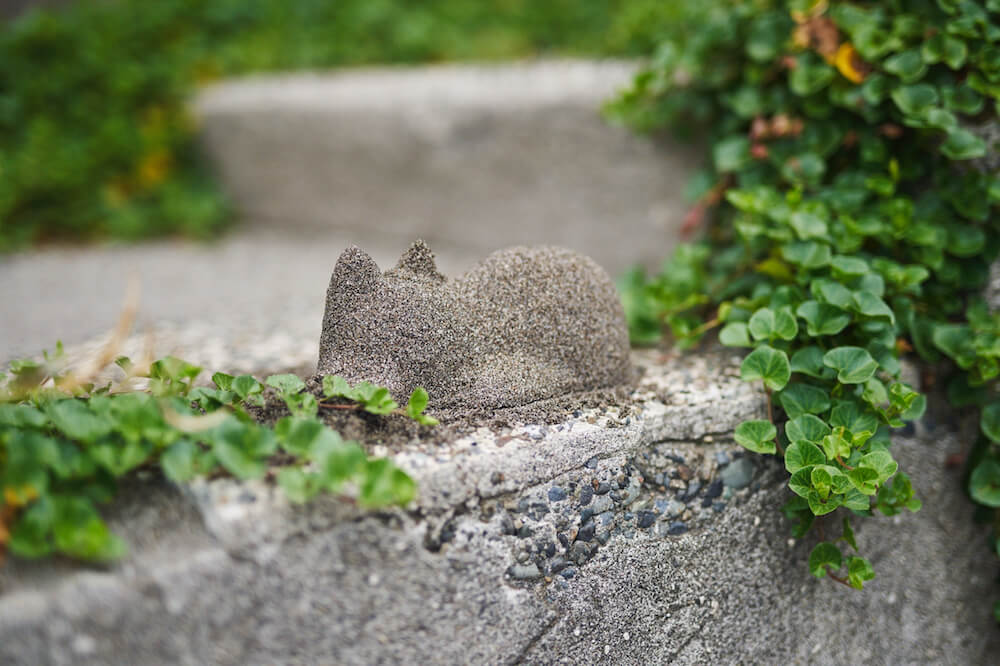 砂の型抜き「ネコカップ」で作った猫の像