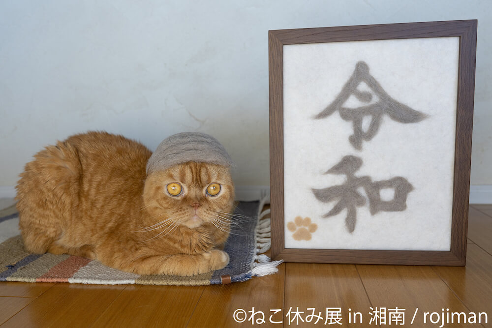 猫の抜け毛で作った「令和」文字 by rojiman