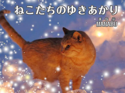 冬の北海道で必死に生きる野良猫たちの命を描いた物語「ねこたちのゆきあかり」