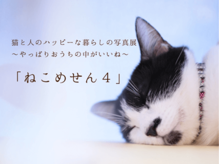 100点以上の作品を展示！猫と人のハッピーな暮らしを捉えた写真展「ねこめせん4」が豊田市で開催