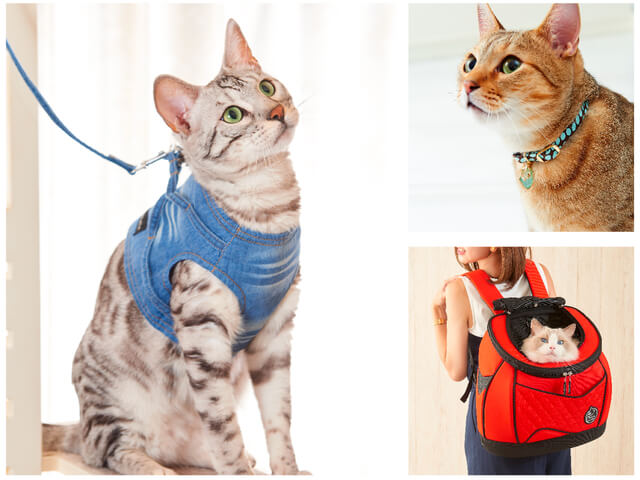オシャレな猫用品のセレクトショップ Necosekai ネコセカイ エキュート品川に出店中 Cat Press キャットプレス