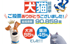犬派よりも猫派が多かった都道府県は全部で「12」あったニャ！犬猫総選挙が結果発表