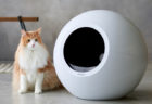球型のフォルムが美しい、最先端の自動猫トイレ「CIRCLE 0(サークル ゼロ)」