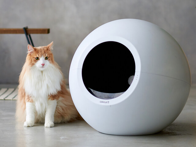 球形のフォルムが美しい、最先端の自動猫トイレ「CIRCLE 0(サークル 