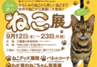 世界の珍しい猫（約30種/50匹）が大集合！「ふれあいねこ展」青森・八戸で開催中