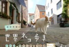 NHKで放送されている「岩合光昭の世界ネコ歩き」10月4日(土)の最新作は「ドイツ・ロマンチック街道」