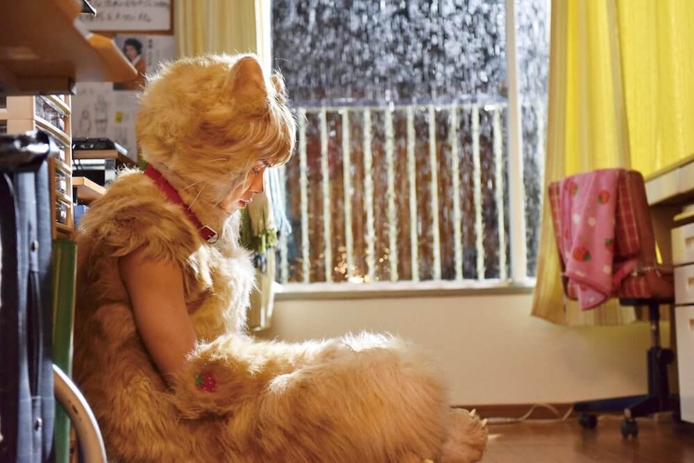 映画「トラさん～僕が猫になったワケ～」のワンシーン