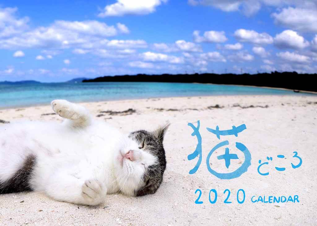 産経新聞社 猫どころカレンダー2020の表紙