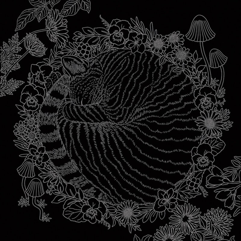 猫の下絵が描かれたブラックシート by スクラッチアート本「猫と花と可愛いもの」