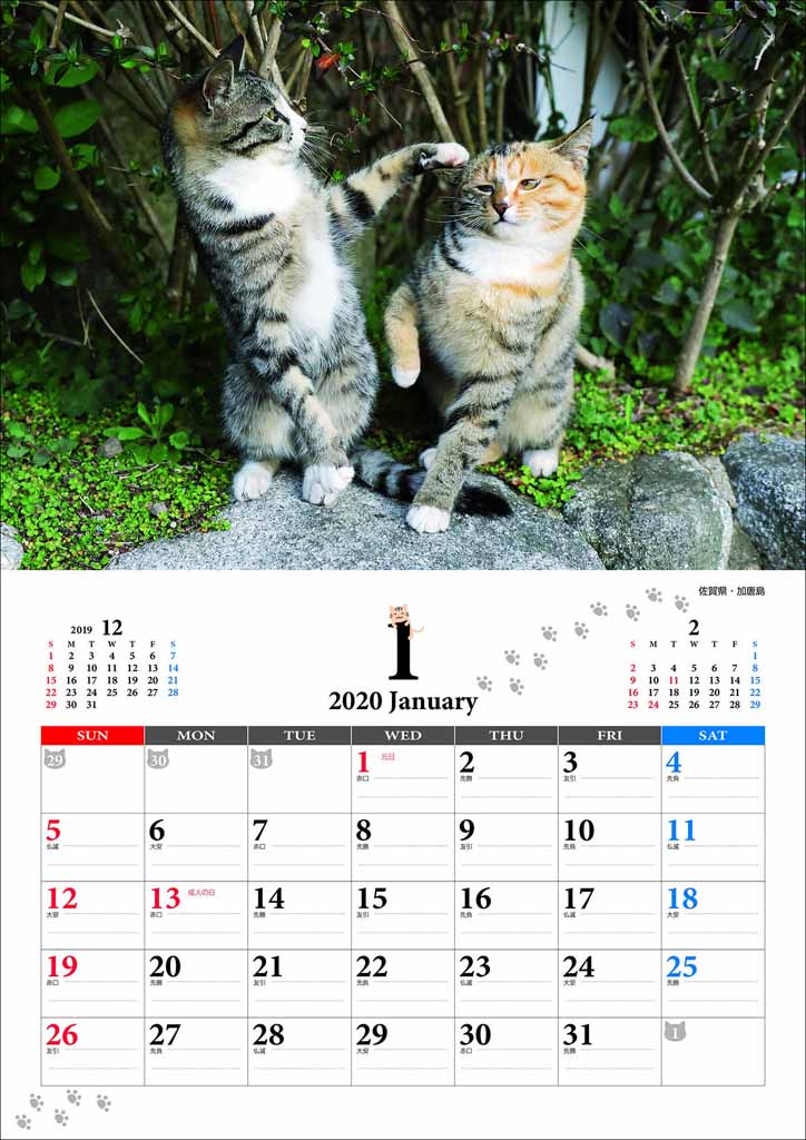 尾崎修二が佐賀県・加唐島で撮影した猫の写真 by カレンダー「猫どころ2020」